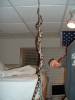 16680Queeny_on_cable.jpg