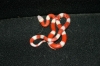 nelsons_small.jpg