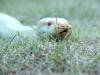 15028DSC00093.jpg