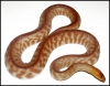 Ad_Woma_Male_700_00_15_.jpg