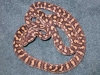 DSCN3370.JPG