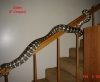 Eden_stairs_.jpg