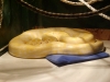 Mike_s_reptile_info_pics_049.jpg