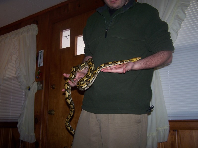 tiger3