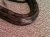 Picture_075.jpg