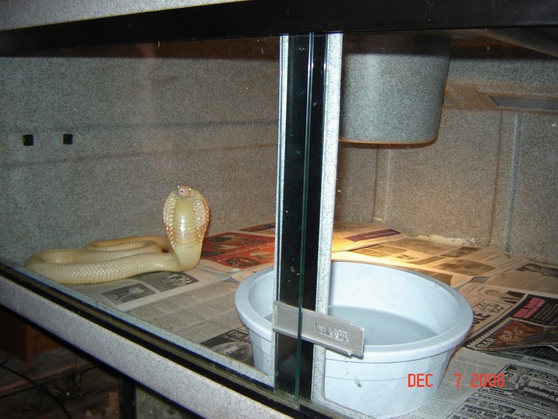 DansNaja12-07-06006