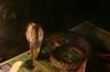 6662IMG_1243_2.JPG