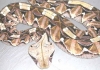 DSCN1201.JPG