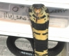 DSCN1226.JPG