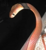 DSCN1623.JPG