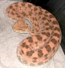 DSCN1664.JPG