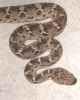 DSCN1671.JPG