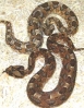 DSCN3041.JPG