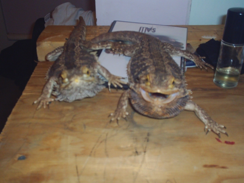 Picture_004