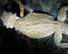 11-30-08_1559.jpg