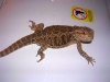 DSCN2577.JPG