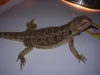 DSCN2578.JPG