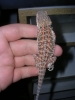 DSCN2688.JPG