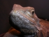 DSCN2695.JPG