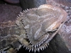 DSCN2697.JPG