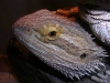 DSCN2698.JPG