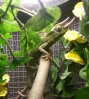 20130105_170430-1.jpg