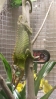 20130105_173159-1.jpg