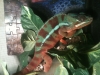 3-03-13_030.JPG