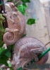BABY_PIC_0504.jpg