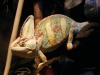 DSCF6353.jpg