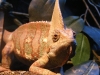 DSCF6494.jpg
