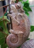 baby_0502.jpg