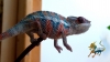 mrrainbowbaby123.jpg