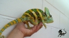 picture3a.jpg