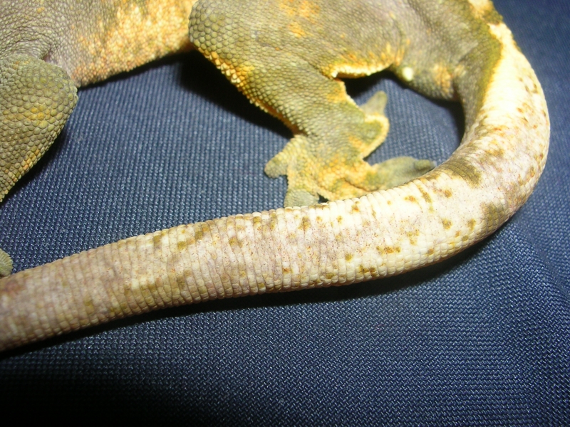 DSCN2827