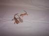 10568New_Baby_cresteds_1.jpg