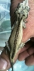 3-03-13_053.JPG