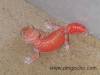 4926DSCN4137.JPG