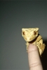 Al_TigerCrested_onFinger.jpg