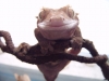 DSCF1900.JPG