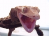 DSCF1903.JPG