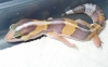 DSCN0392.JPG