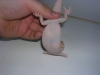 DSCN2510.JPG