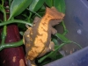DSCN2535.JPG
