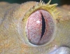 DSCN2537.JPG