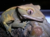 DSCN2546.JPG