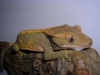 DSCN2556.JPG