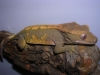 DSCN2562.JPG