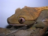 DSCN2564.JPG