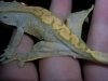DSCN2683.JPG